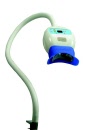 h3804